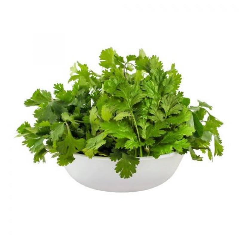 HSM CORIANDER 1PCS