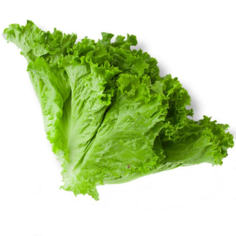 Buy hsm lettuce (salad pata) 1kg at best price in Pakistan Hydri Super Market