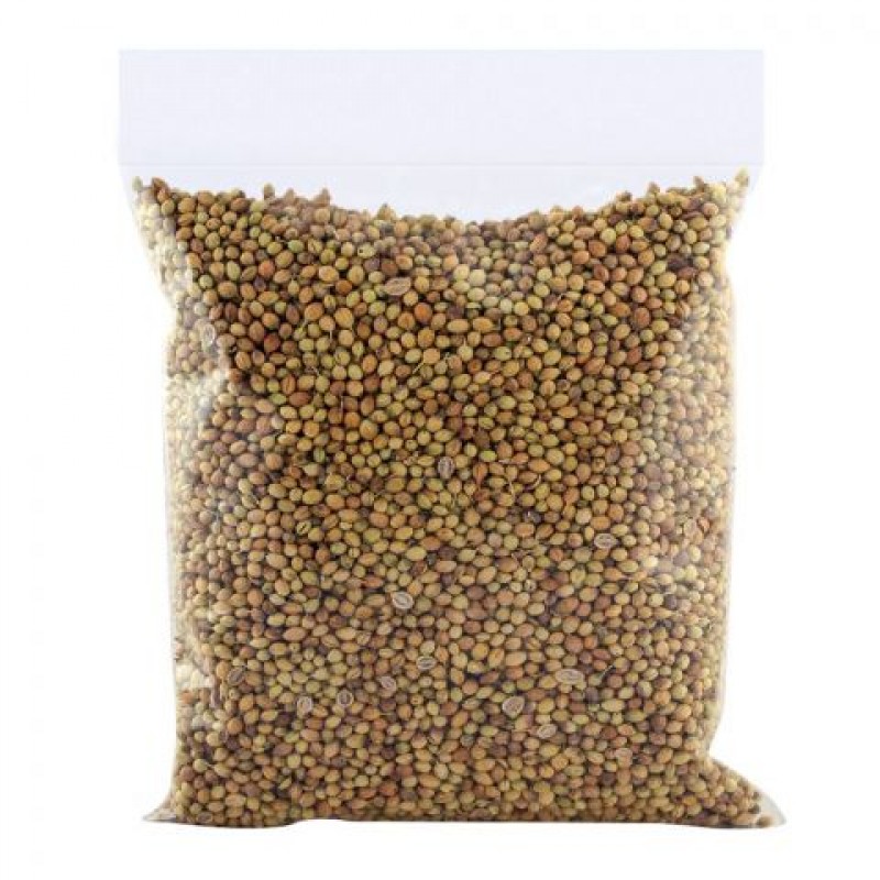 HINA SABIT DHANIA 100GM