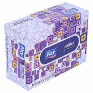 FAY TISSUES JUNIOR  BOX 100 X2PLY