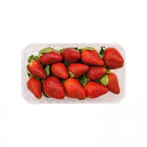 HSM STRAWBERRY