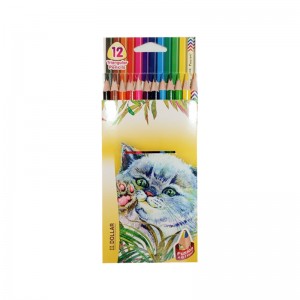 DOLLAR COLOUR PENCIL 12`S LARGE