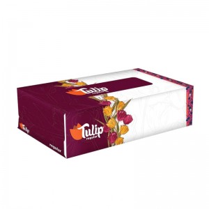 ROSE PETAL TULIP REGULAR 160`S