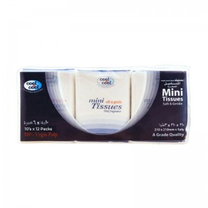 COOL & COOL MINI TISSUES 10X12PCS
