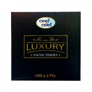 COOL & COOL LUXURY FACIAL TISSUE 100X2 PLY