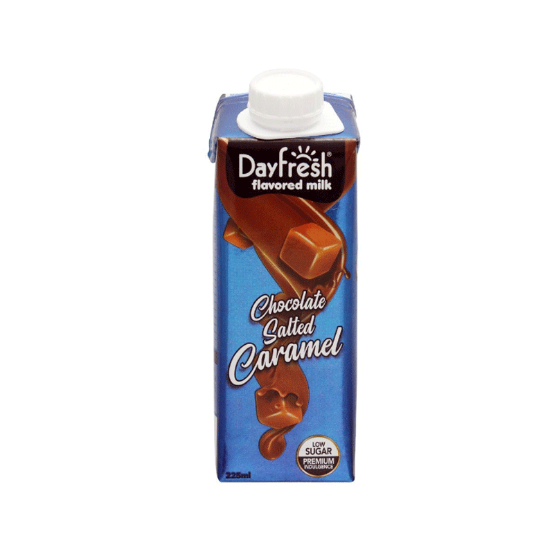 DAYFRESH FLV MILK CHOCOALTE CARAMEL 225ML