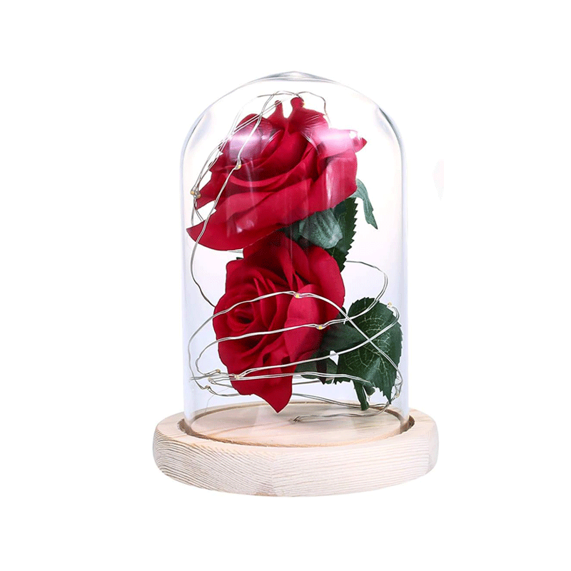 RED FLOWER IN GLASS DOME WITH LED STRING LIGHTS