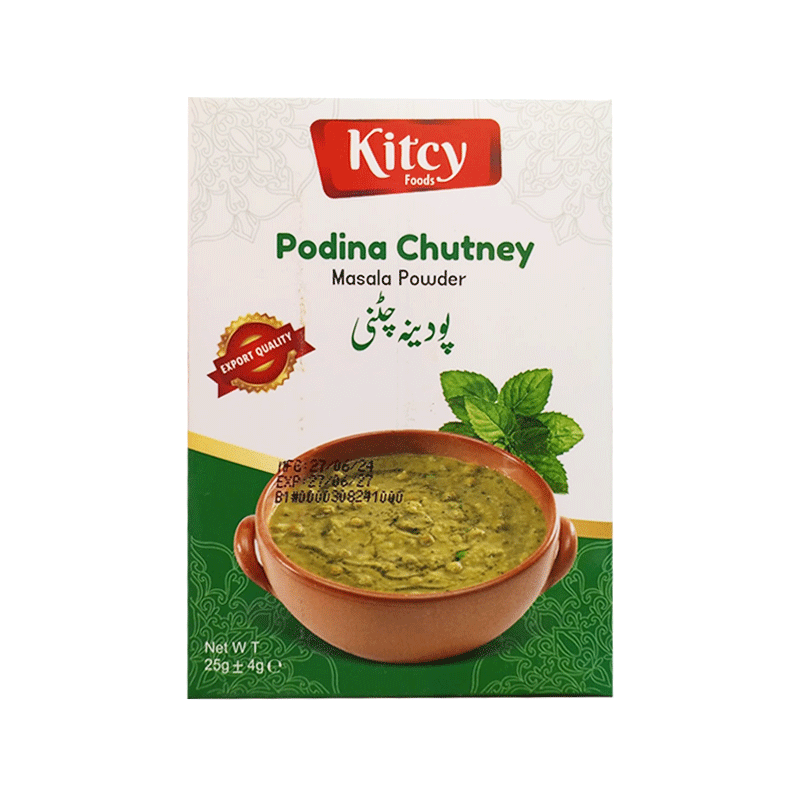 KITCY PODINA CHUTNEY MASALA POWDER 25GM