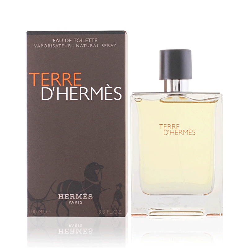 TERRE D HERMES PERFUME 100ML