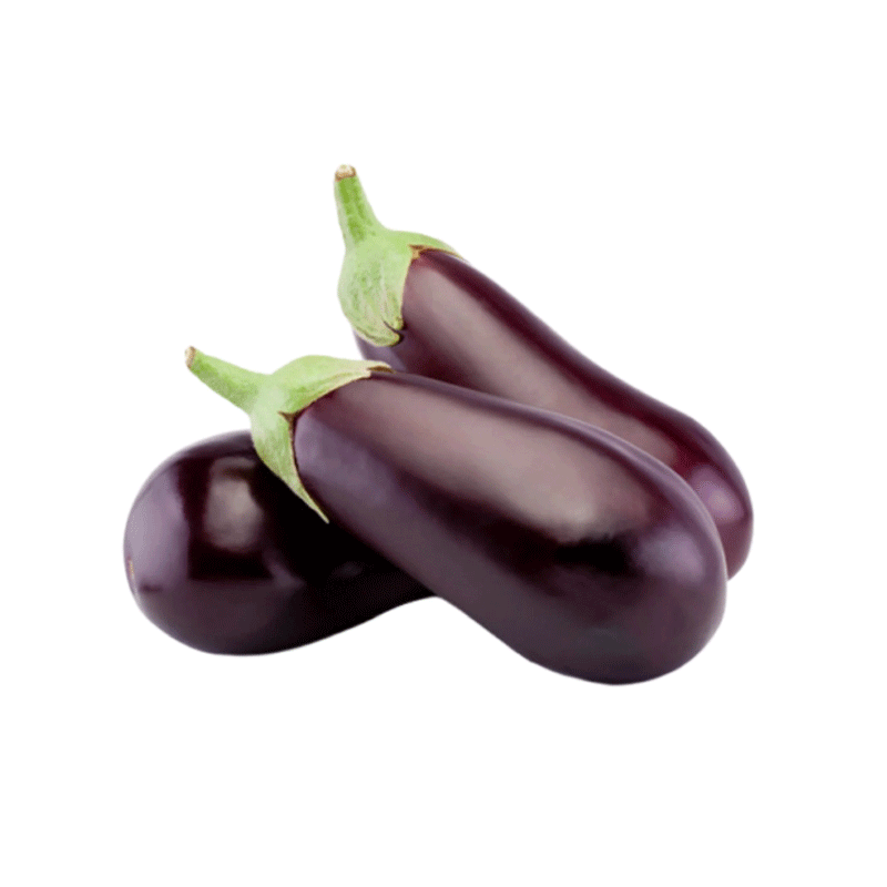 HSM BRINJAL (BAINGAN LAMBA) 1KG