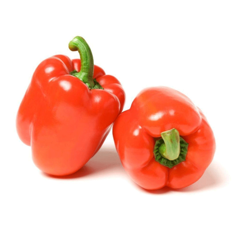 HSM RED CAPSICUM