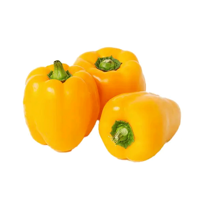 HSM YELLOW CAPSICUM