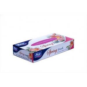 FAY TISSUE BOX SPRING FRESH 50X2 PLY