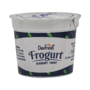 DAYFRESH FLV YOGURT  BLUEBERRY 100GM